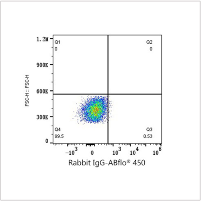 ABflo® 450 Rabbit anti-Human CD166/ALCAM mAb (100 T)