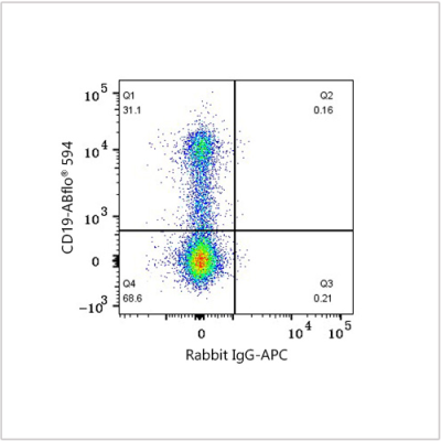 APC Rabbit anti-Human CD185/CXCR5 mAb (100 T)