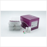 EndoFree Maxi Plasmid Kit V2 (10 preps)